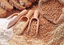 Buğday ve Un Çeşitleri Wheat and Flour Types 1